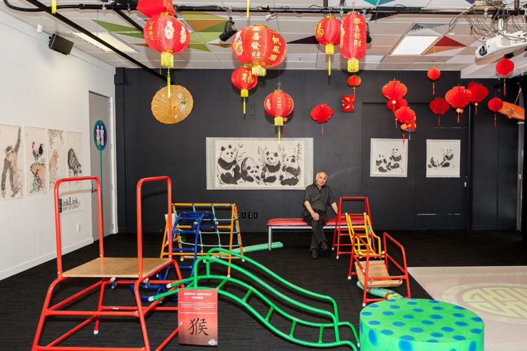 ​Chinese New Year Festival @TSB Bank Arena