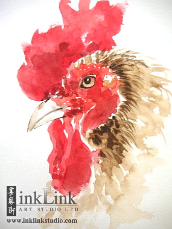 Colour in the Giant Rooster